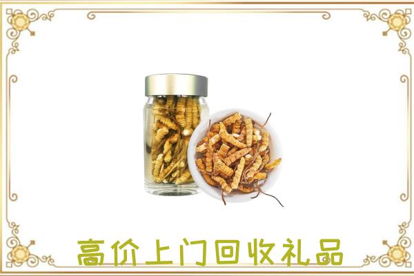 舟曲周边回收虫草